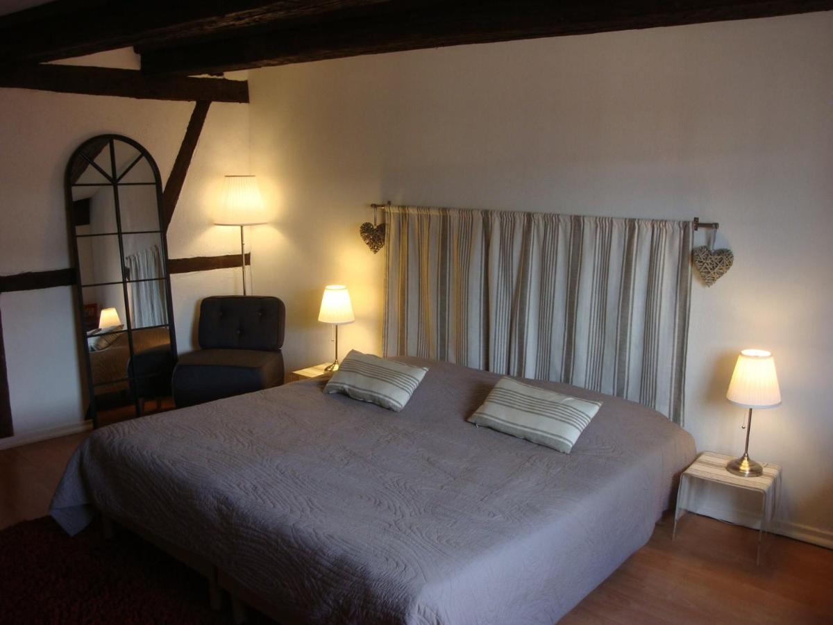 New ! Vue Petite Venise, Place To Be - Parking Кольмар Екстер'єр фото